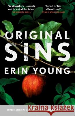 Original Sins: Riley Fisher Book 2 Erin Young 9781444777833