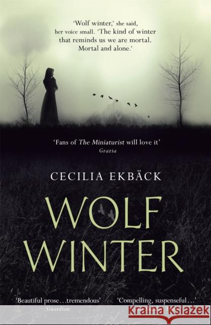 Wolf Winter: Winner of the 2016 HWA Goldsboro Debut Crown Award Cecilia Ekback 9781444789553