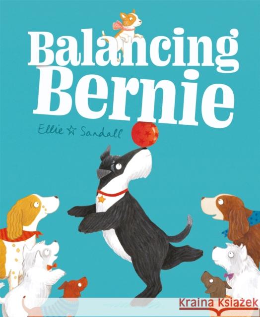 Balancing Bernie SANDALL  ELLIE 9781444946253