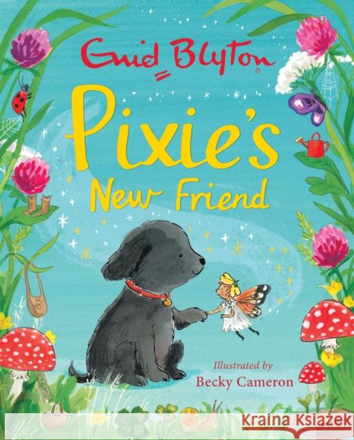 Pixie's New Friend Enid Blyton 9781444949513