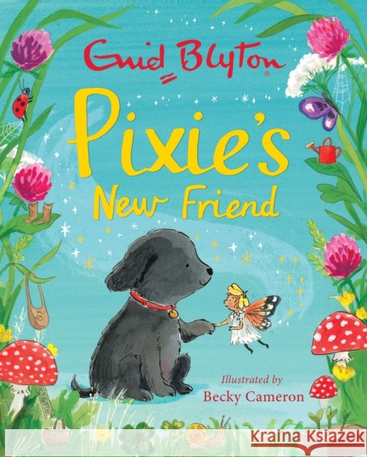 Pixie's New Friend Enid Blyton 9781444949520