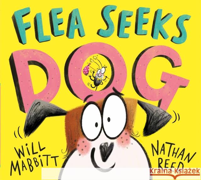 Flea Seeks Dog Will Mabbitt 9781444950779 Hachette Children's Group