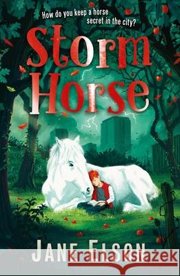 Storm Horse Jane Elson   9781444955699 Hachette Children's Group