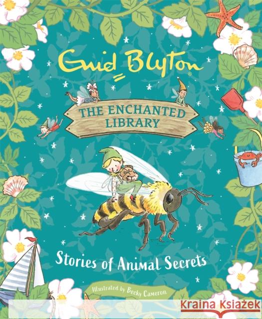 The Enchanted Library: Stories of Animal Secrets Enid Blyton 9781444966053 Hachette Children's Group