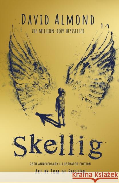 Skellig: the 25th anniversary illustrated edition David Almond 9781444972283