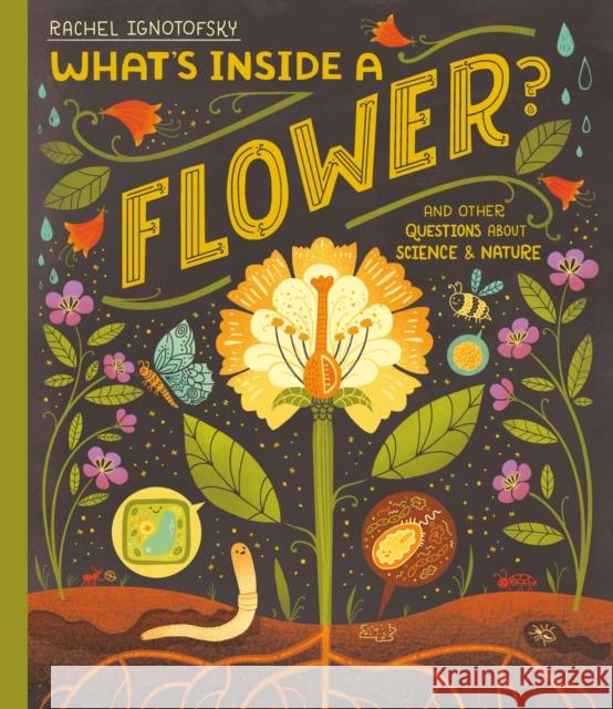 What's Inside a Flower?: And other questions about science and nature Rachel Ignotofsky 9781444976694 Hachette Children's Group