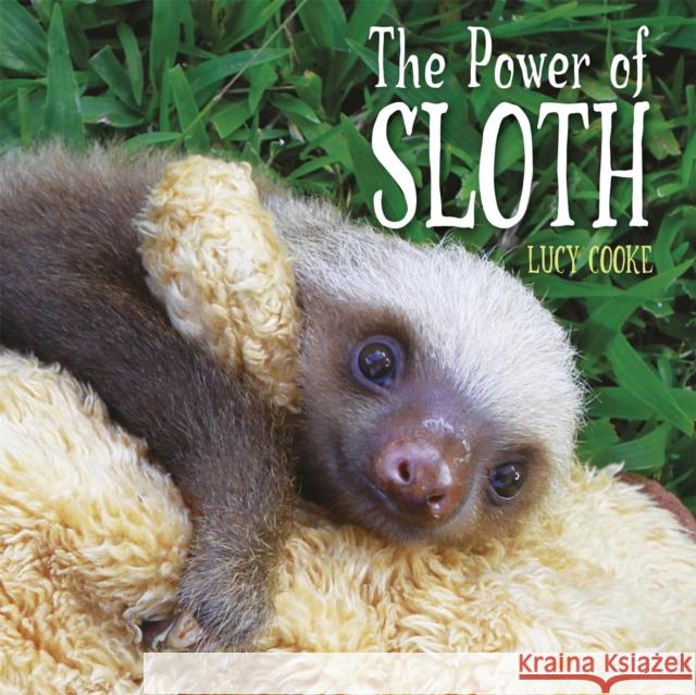 The Power of Sloth Lucy Cooke 9781445127910 Hachette Children's Group