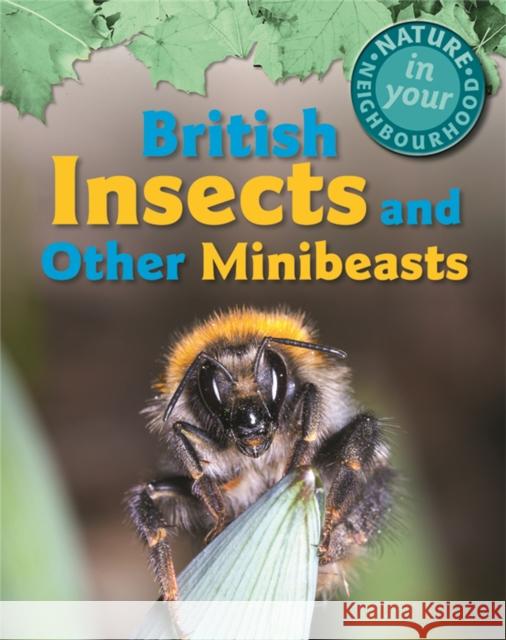 Nature in Your Neighbourhood: British Insects and other Minibeasts Collinson, Clare 9781445136332