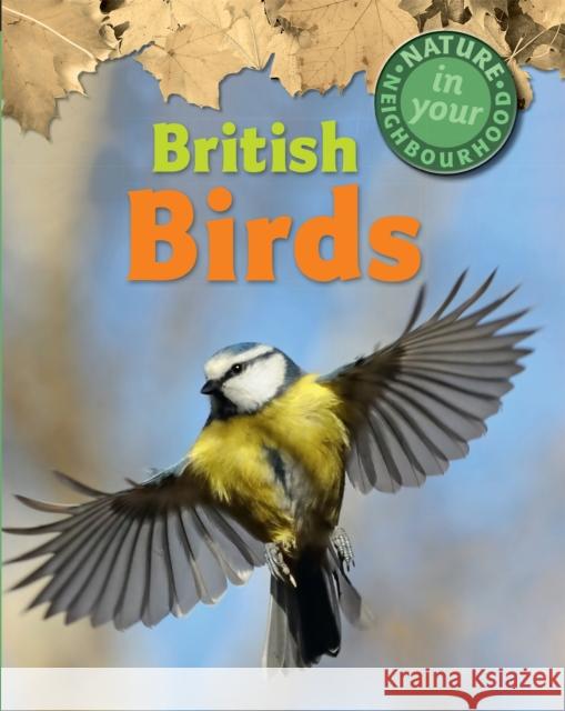 Nature in Your Neighbourhood: British Birds Clare Collinson 9781445136363