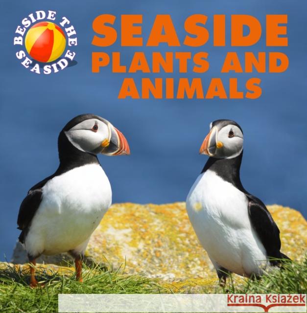 Beside the Seaside: Seaside Plants and Animals Clare Hibbert 9781445137674