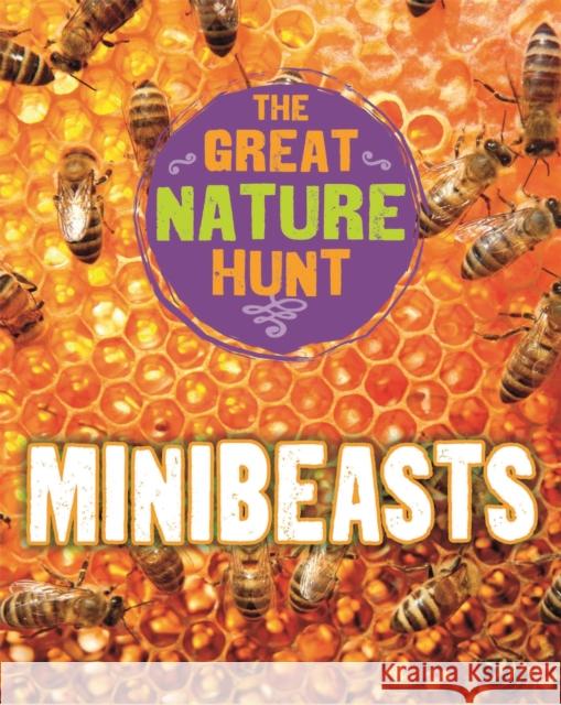 The Great Nature Hunt: Minibeasts Cath Senker 9781445145303 Hachette Children's Group