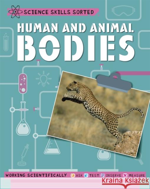 Science Skills Sorted!: Human and Animal Bodies Angela Royston 9781445151533 Hachette Children's Group