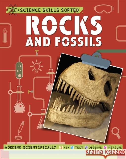 Science Skills Sorted!: Rocks and Fossils Anna Claybourne 9781445151564