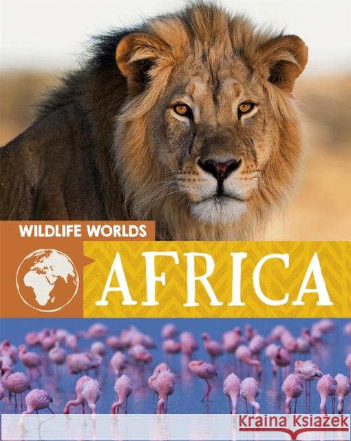 Wildlife Worlds: Africa Tim Harris 9781445166858 Hachette Children's Group