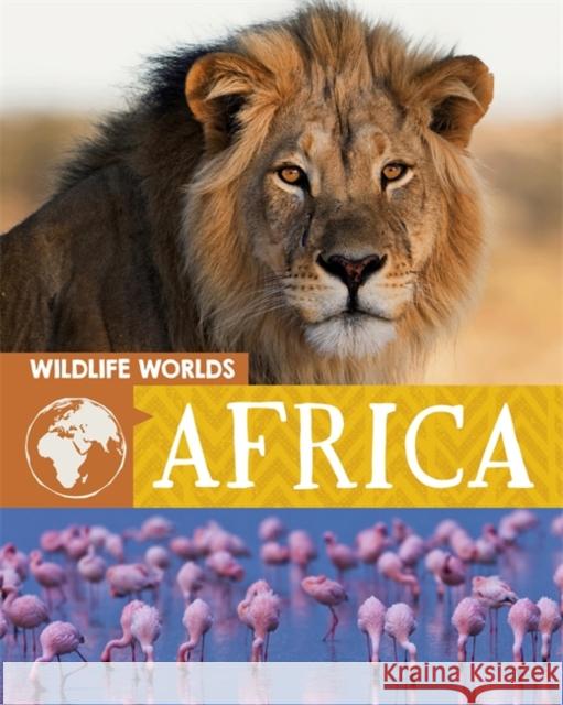 Wildlife Worlds: Africa Tim Harris 9781445166865 Hachette Children's Group