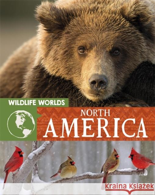 Wildlife Worlds: North America Tim Harris 9781445167305 Hachette Children's Group