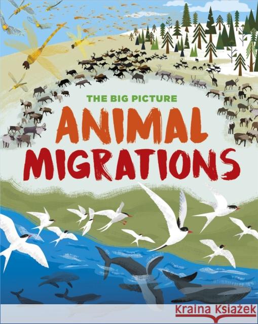 The Big Picture: Animal Migrations Jon Richards 9781445169873