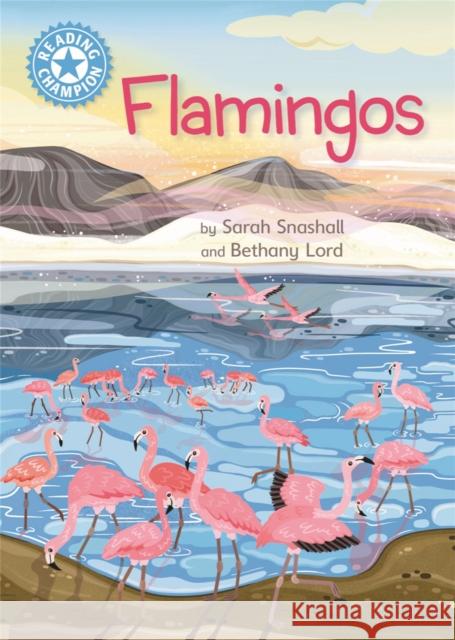 Reading Champion: Flamingos: Independent Reading Non-Fiction Blue 4 Snashall, Sarah 9781445175850