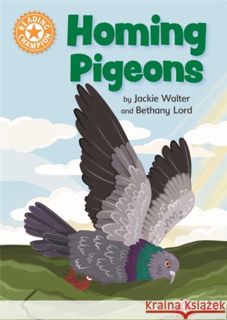 Reading Champion: Homing Pigeons: Independent Reading Orange 6 Non-fiction Franklin Watts 9781445176390 Hachette Children's Group