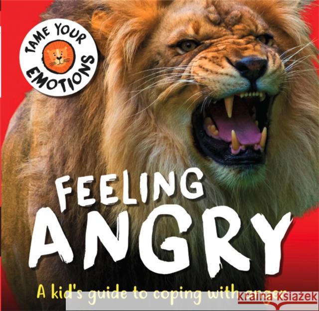 Tame Your Emotions: Feeling Angry Susie Williams 9781445180939 Hachette Children's Group