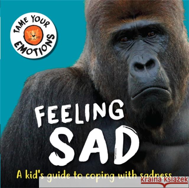 Tame Your Emotions: Feeling Sad Susie Williams 9781445181042 Hachette Children's Group