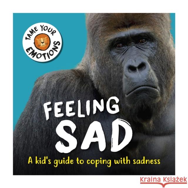 Tame Your Emotions: Feeling Sad Susie Williams 9781445181059 Hachette Children's Group