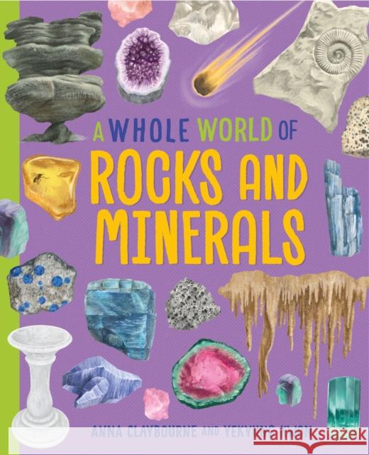 A Whole World of...: Rocks and Minerals Anna Claybourne 9781445188591 Hachette Children's Group
