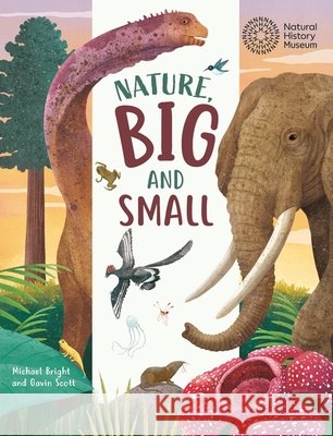 Big and Small: Nature Michael Bright 9781445196008