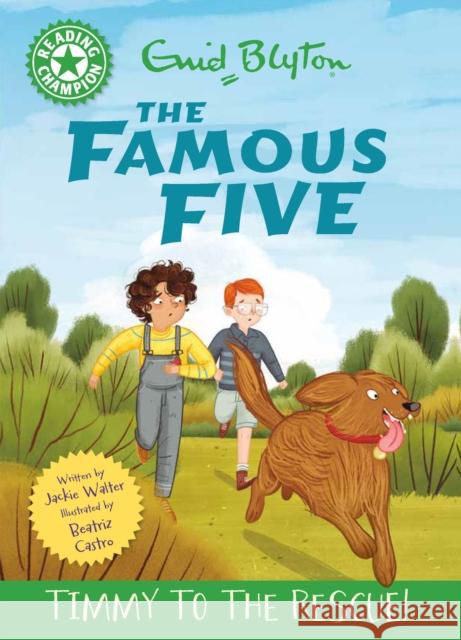 Reading Champion: The Famous Five: Timmy to the Rescue!: Green Band 5 Jackie Walter 9781445197180 Hachette Children's Group