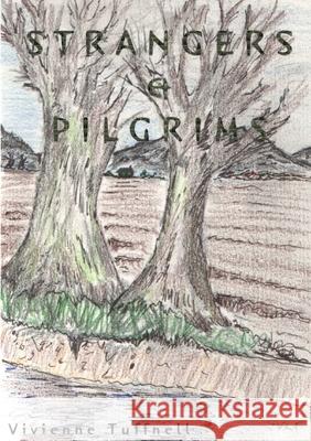 Strangers & Pilgrims Vivienne Tuffnell 9781445241180