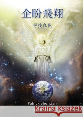 Expecting to Fly Patrick Sheridan 9781445283586