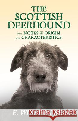 The Scottish Deerhound with Notes on its Origin and Characteristics Bell, E. Winston 9781445505312 Vintage Dog Books