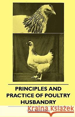 Principles And Practice Of Poultry Husbandry Tom Newman 9781445509006 Read Books