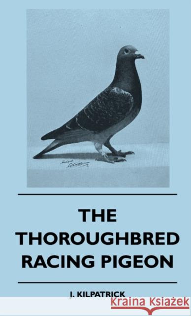 The Thoroughbred Racing Pigeon J. Kilpatrick 9781445515786 Rowlands Press