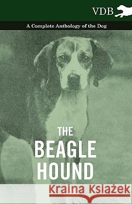 The Beagle Hound - A Complete Anthology of the Dog - Various 9781445525723 Vintage Dog Books