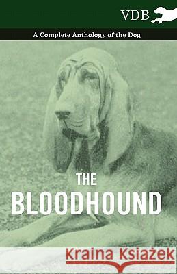 The Bloodhound - A Complete Anthology of the Dog - Various 9781445525761 Vintage Dog Books