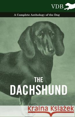 The Dachshund - A Complete Anthology of the Dog - Various 9781445525907 Vintage Dog Books