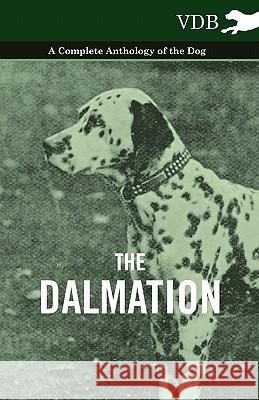 The Dalmatian - A Complete Anthology of the Dog - Various 9781445525914 Vintage Dog Books