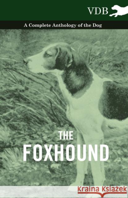 The Foxhound - A Complete Anthology of the Dog Various (selected by the Federation of Children's Book Groups) 9781445526058 Read Books