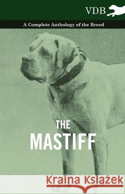 The Mastiff - A Complete Anthology of the Breed Various (selected by the Federation of Children's Book Groups) 9781445526317 Read Books