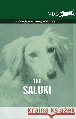 The Saluki - A Complete Anthology of the Dog Various 9781445526461 Vintage Dog Books