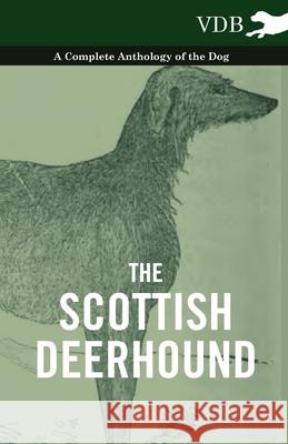 The Scottish Deerhound - A Complete Anthology of the Dog Various 9781445526522 Vintage Dog Books