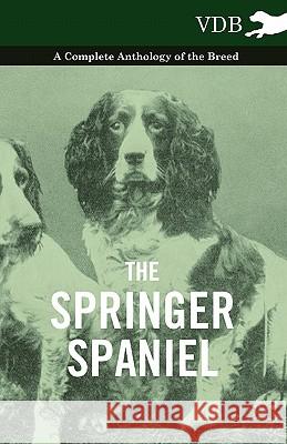 The Springer Spaniel - A Complete Anthology of the Breed Various 9781445526621 Vintage Dog Books