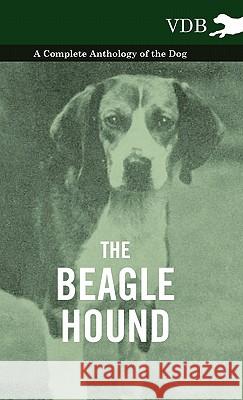 The Beagle Hound - A Complete Anthology of the Dog - Various 9781445526928 Vintage Dog Books