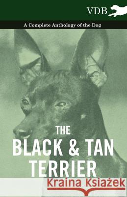 The Black And Tan Terrier - A Complete Anthology of the Dog - Various (selected by the Federation of Children's Book Groups) 9781445526942 Read Books