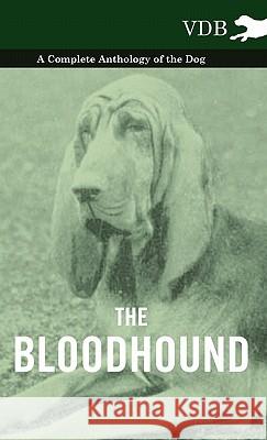 The Bloodhound - A Complete Anthology of the Dog - Various (selected by the Federation of Children's Book Groups) 9781445526966 Read Books