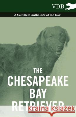 The Chesapeake Bay Retriever - A Complete Anthology of the Dog - Various (selected by the Federation of Children's Book Groups) 9781445527031 Read Books