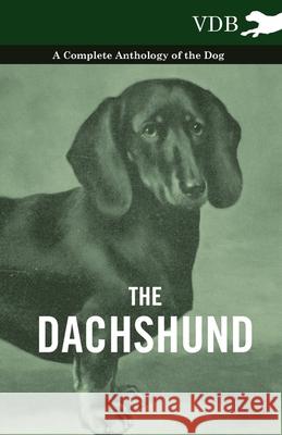 The Dachshund - A Complete Anthology of the Dog - Various (selected by the Federation of Children's Book Groups) 9781445527109 Read Books