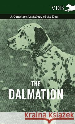 The Dalmatian - A Complete Anthology of the Dog - Various (selected by the Federation of Children's Book Groups) 9781445527116 Read Books