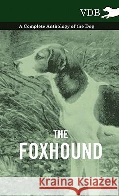 The Foxhound - A Complete Anthology of the Dog Various 9781445527253 Vintage Dog Books